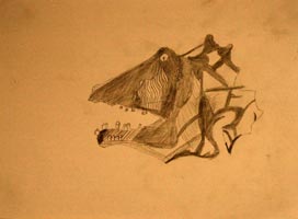 BUCRANIO