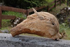 NATURA E ARTE