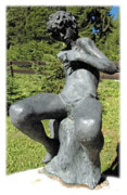 la rondine ferita